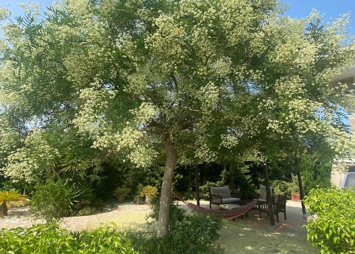 Casa Lusentum Willa *