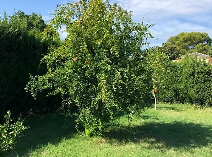 Casa Lusentum Torrevieja