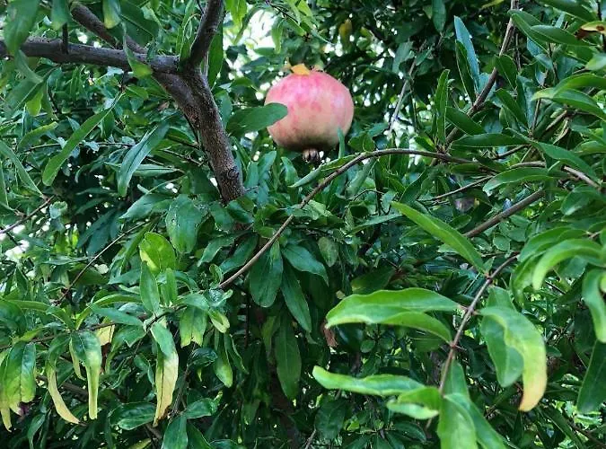 Casa Lusentum Willa *